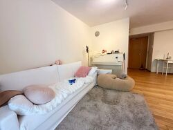 8 @ Mount Sophia (D9), Condominium #593635341